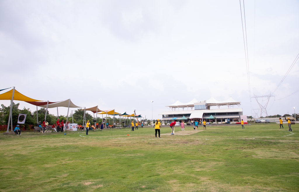 saga lawn 3
